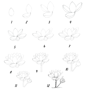 Lotus idea 8 piirustus