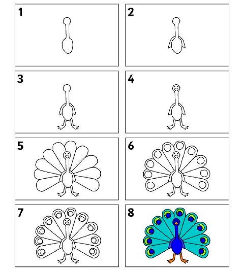 Peacock idea 15 piirustus