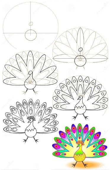 Peacock idea (23) piirustus