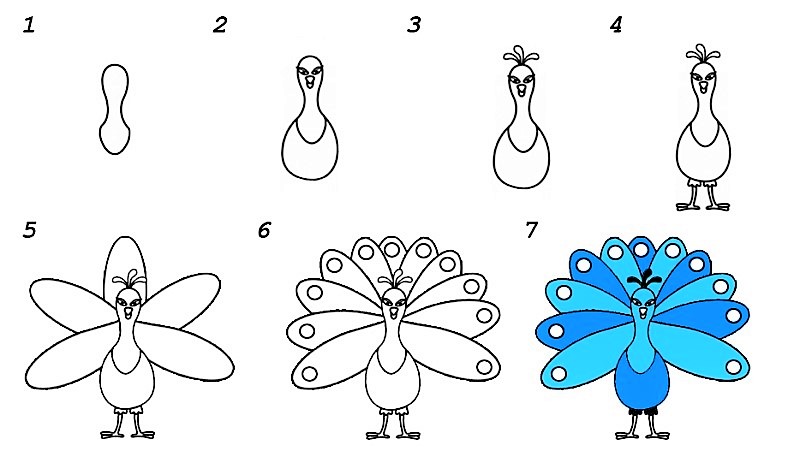 Peacock idea 6 piirustus