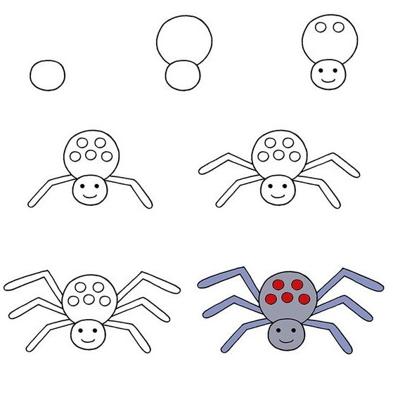 Punatäpläinen hämähäkki piirustus