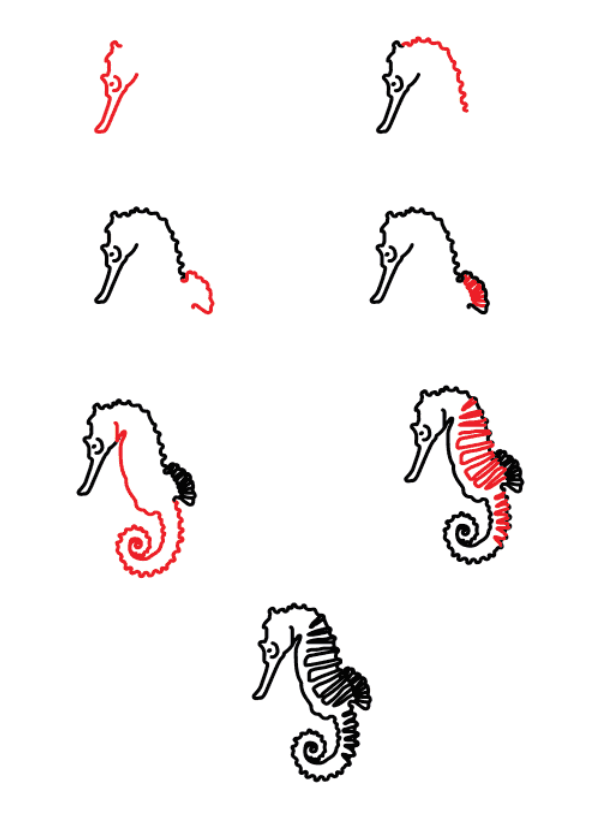 Seahorse idea (17) piirustus