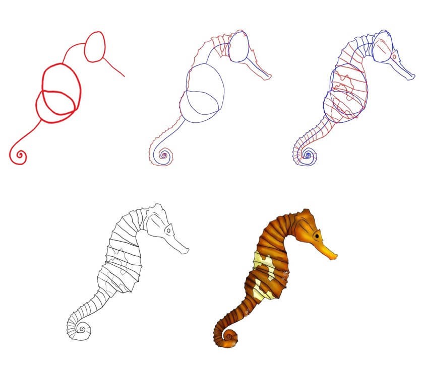 Seahorse idea (9) piirustus