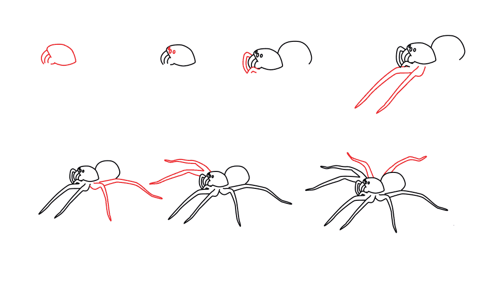 Yksinkertainen askel askeleelta hämähäkki piirustus