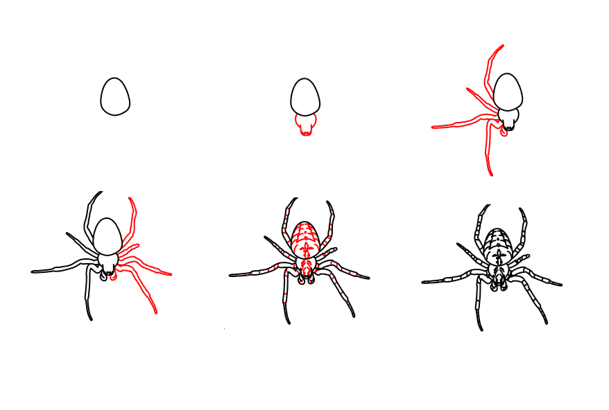 Yksityiskohtainen askel askeleelta hämähäkki piirustus