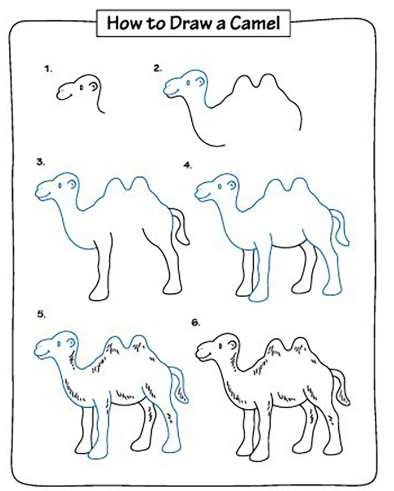 Yksityiskohtainen kameli piirustus