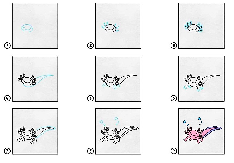 Axolotl 6:n idea piirustus