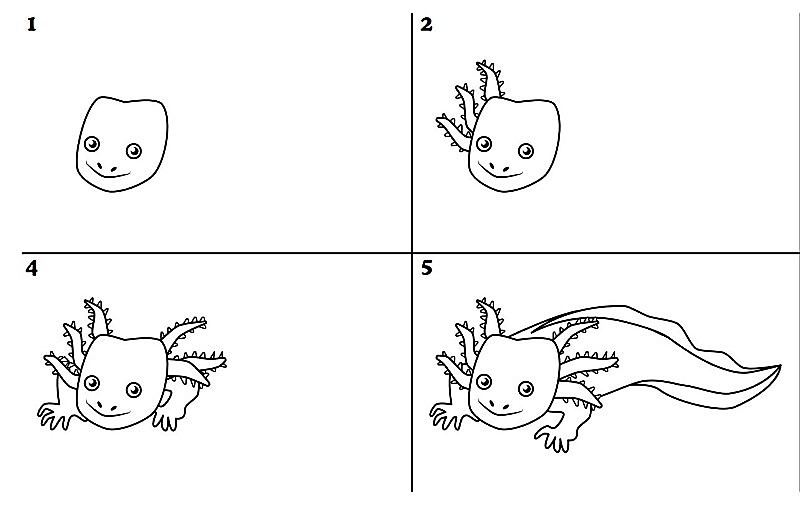 Axolotl 8:n idea piirustus