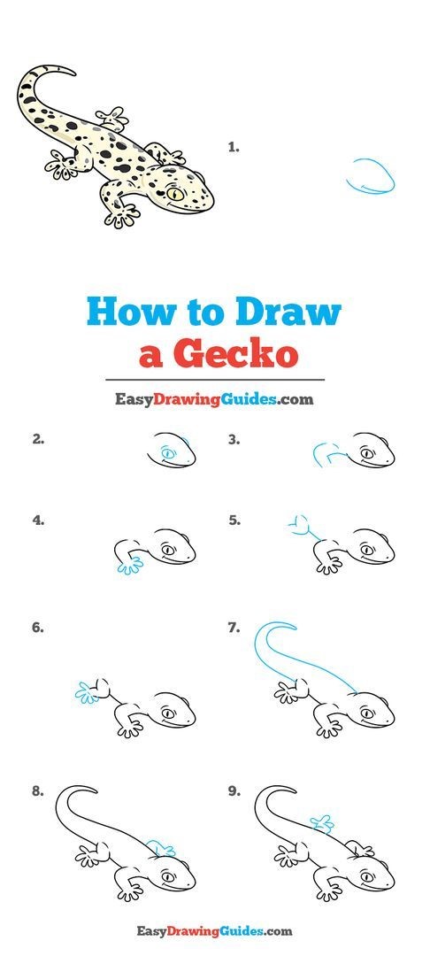 Gecko Idea 2 piirustus