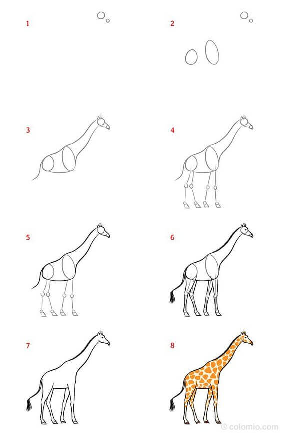 Giraffe idea (17) piirustus