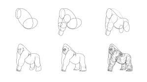 Gorilla-ideoita 6 piirustus