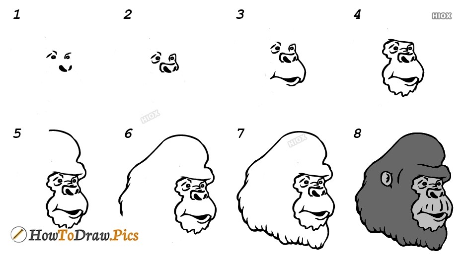 Gorillan pää piirustus