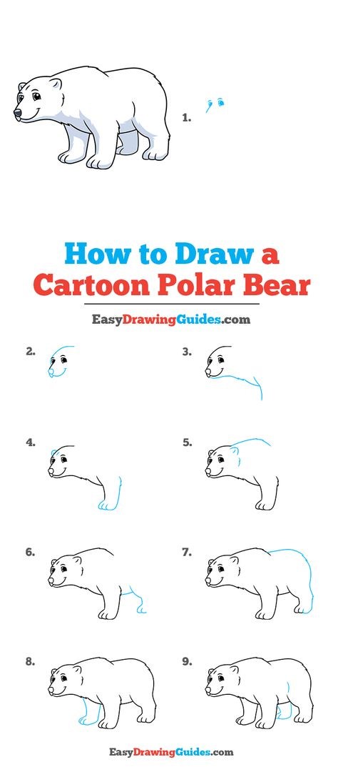 Jääkarhu idea 3 piirustus