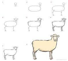 Lammas idea 12 piirustus