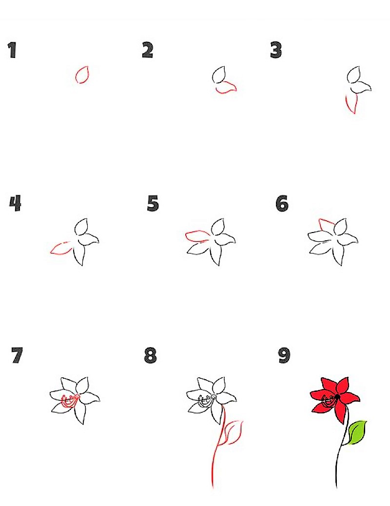 Liljakukka-idea 2 piirustus