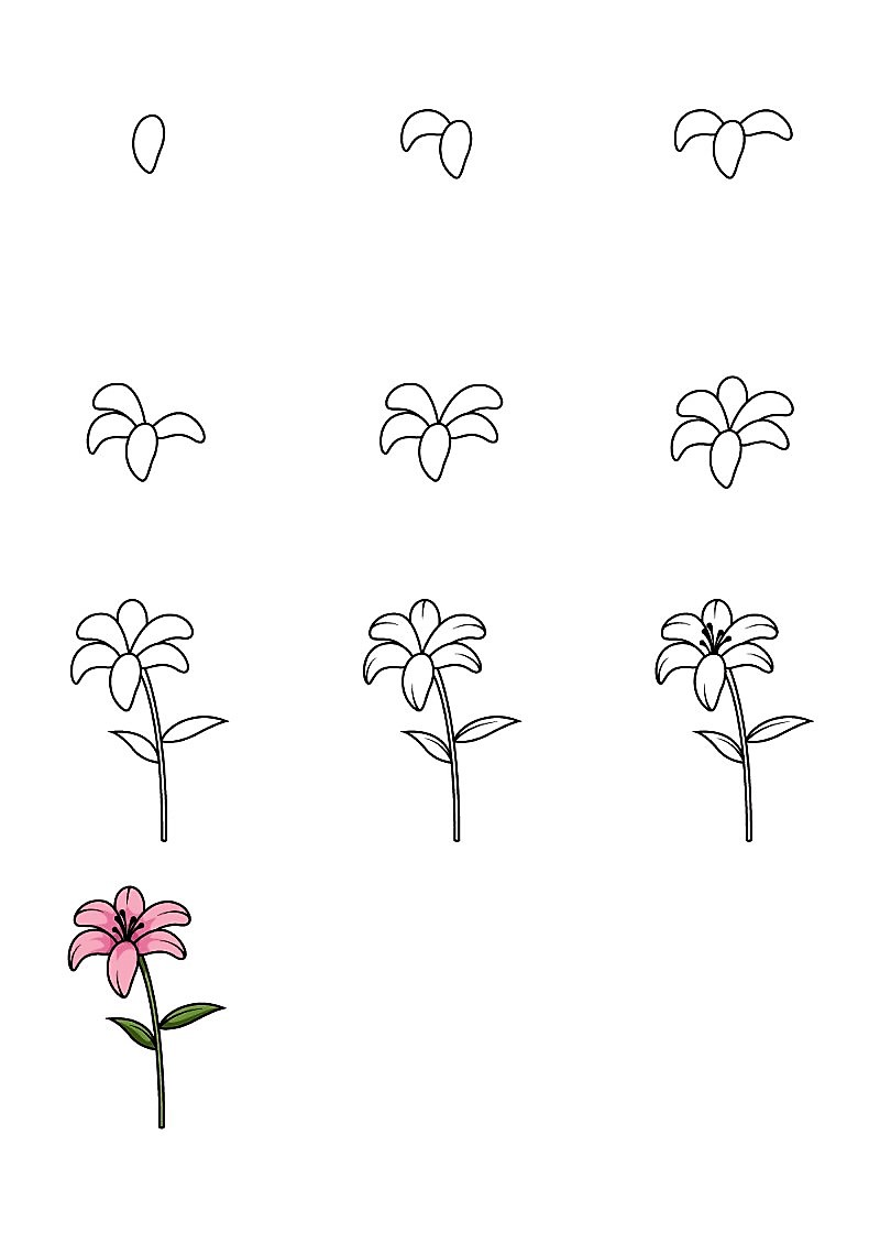 Liljakukka-idea 6 piirustus