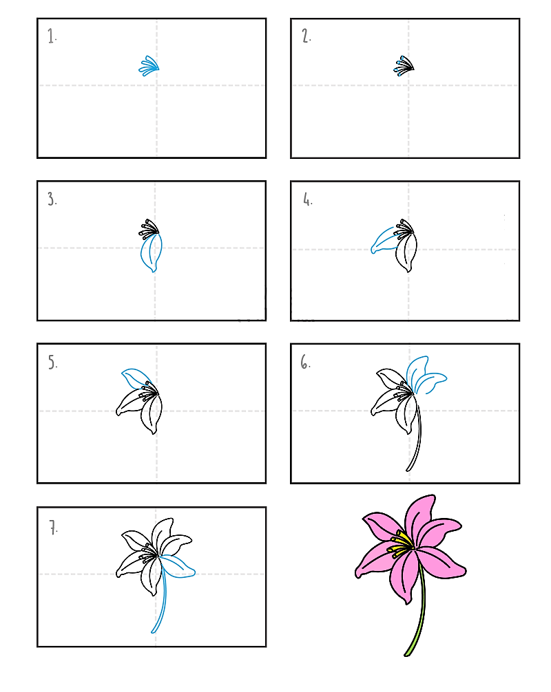 Liljakukka-idea 9 piirustus