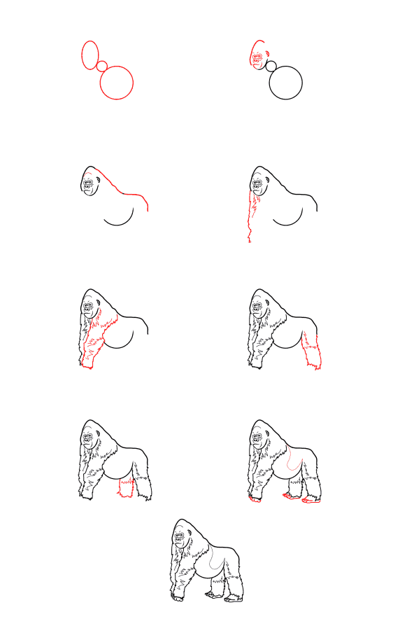 Realistinen gorilla piirustus