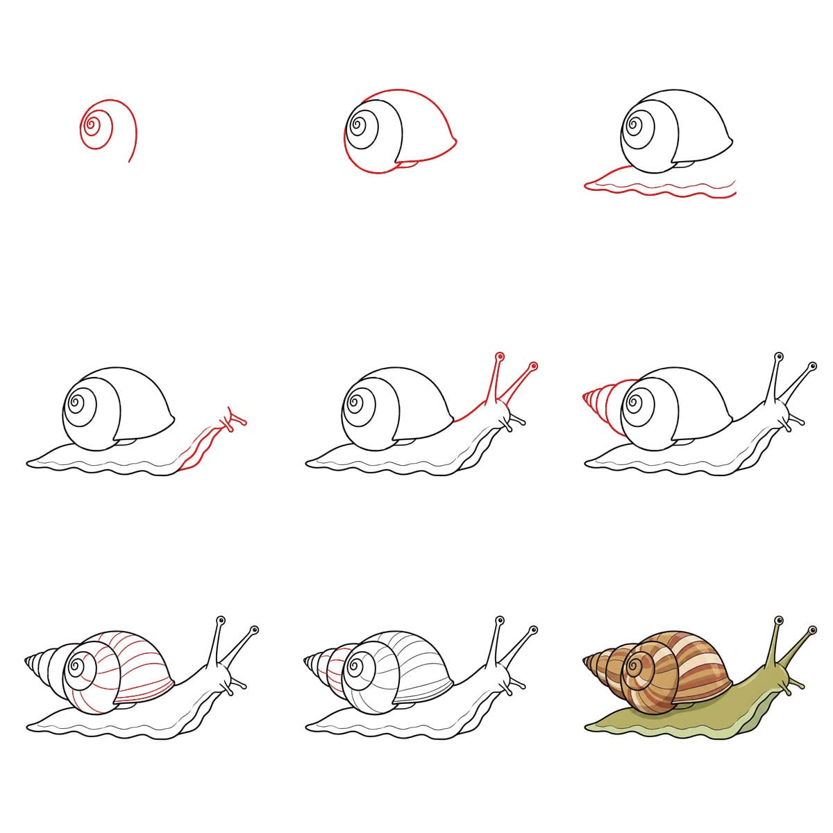 Söpö etana piirustus