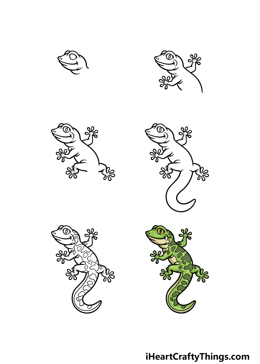 Gecko piirustus