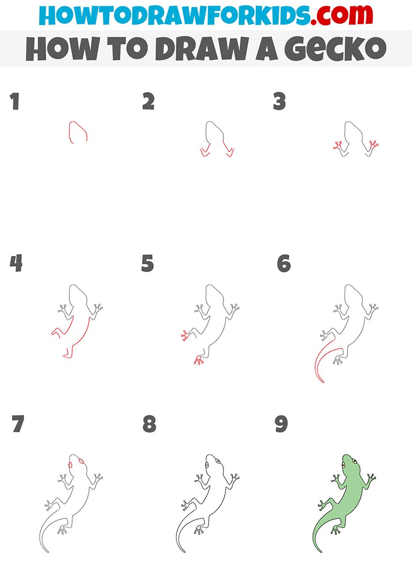 Yksinkertainen gekko piirustus