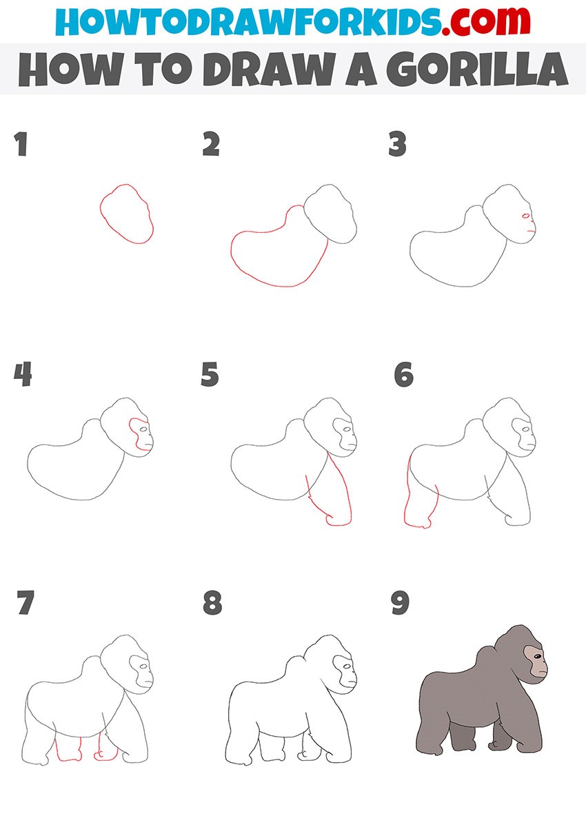 Yksinkertainen gorilla piirustus