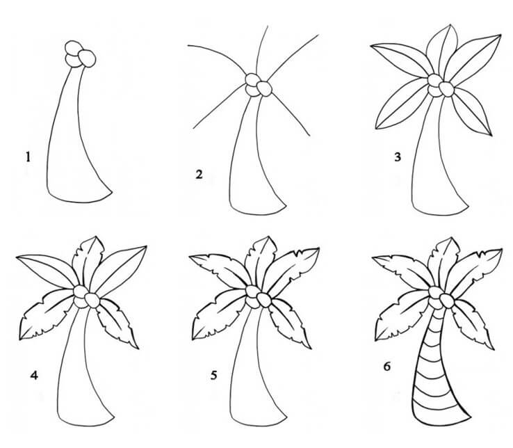 Idea palmu (20) piirustus