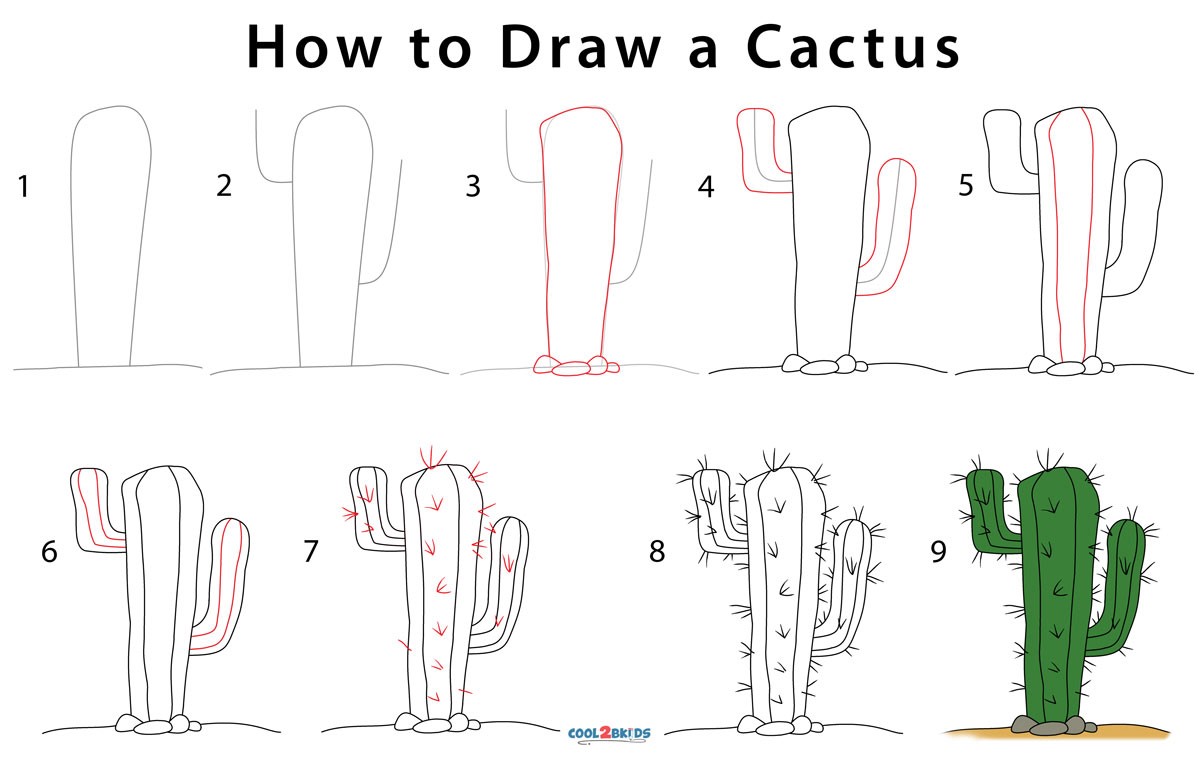Kaktus idea 11 piirustus