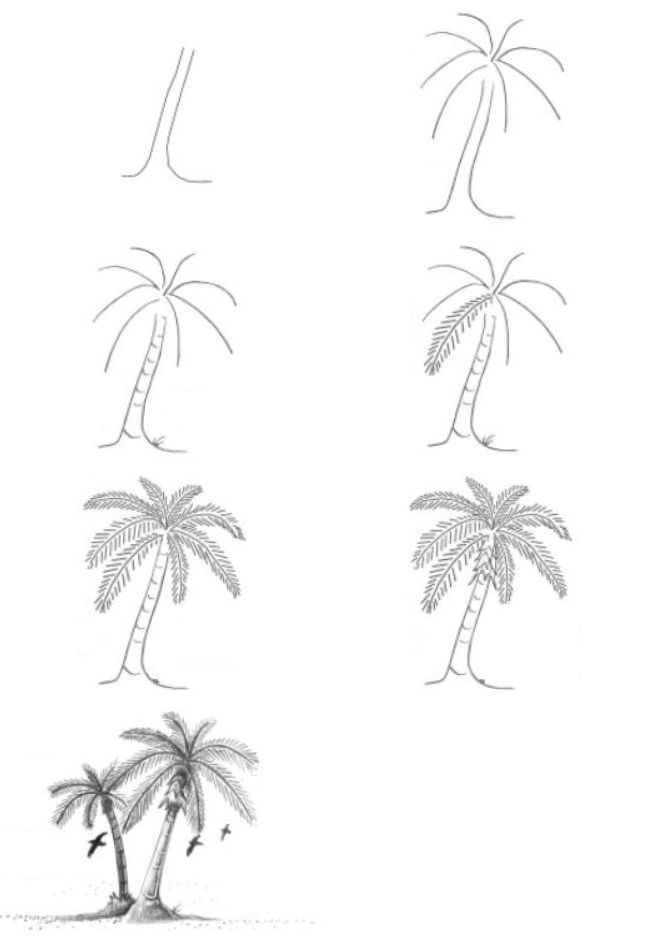 Palmu-idea 5 piirustus