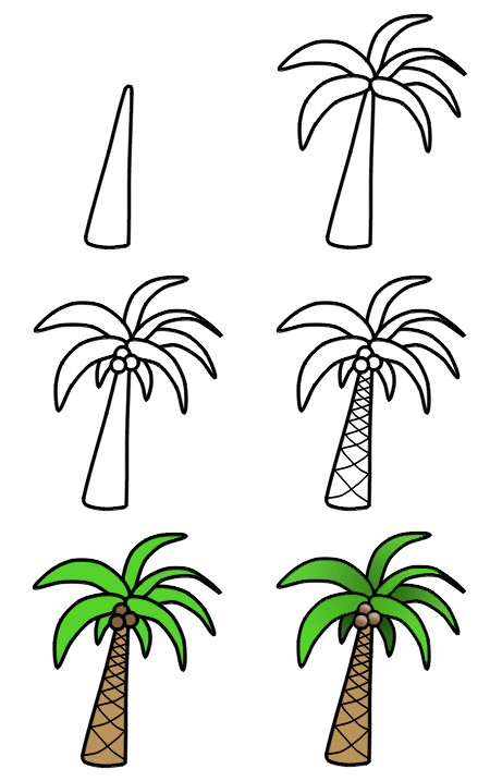 Palmu piirustus