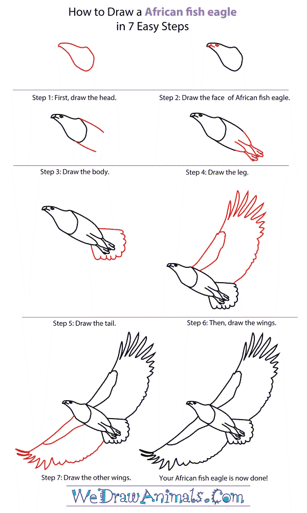 Yksityiskohtainen askel askeleelta Eagle piirustus