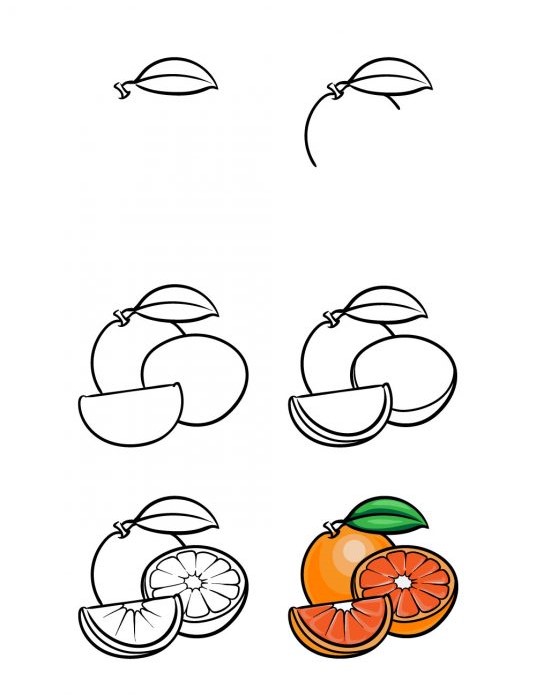 Appelsiinit leikataan monella tapaa piirustus