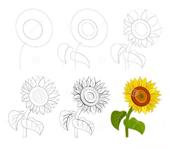 Auringonkukat idea (27) piirustus