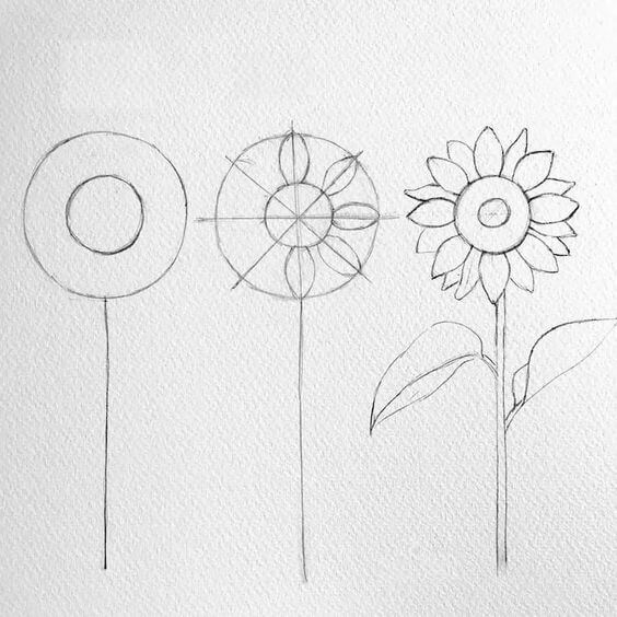 Auringonkukat idea (30) piirustus