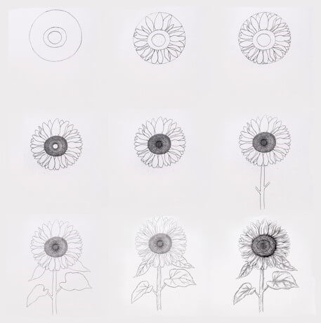 Auringonkukat idea (8) piirustus