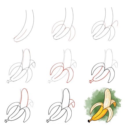 Banaani piirustus