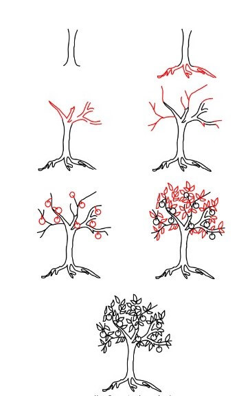 Hedelmä puut (1) piirustus