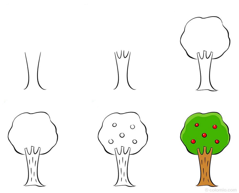 Hedelmä puut (2) piirustus