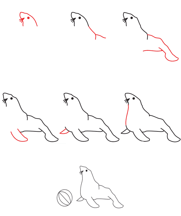 Hylkeet pelaavat palloa piirustus
