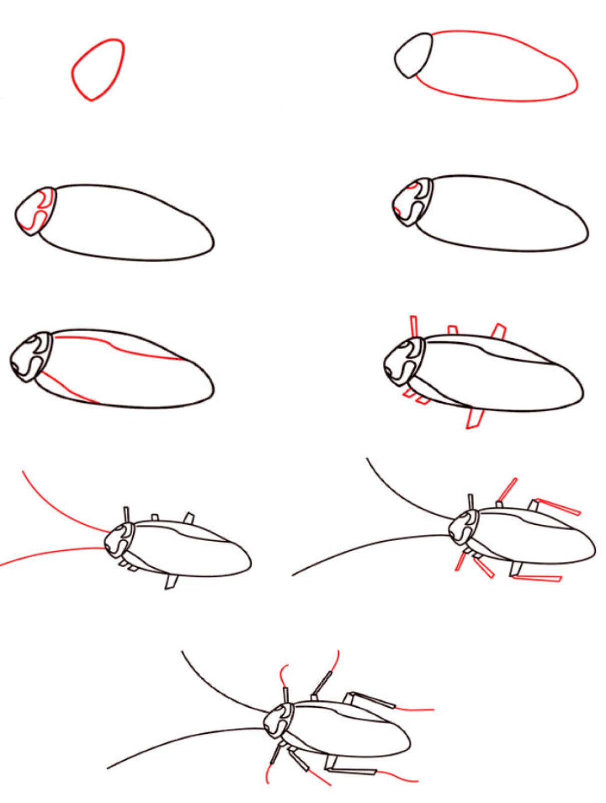 Idea torakoista (4) piirustus