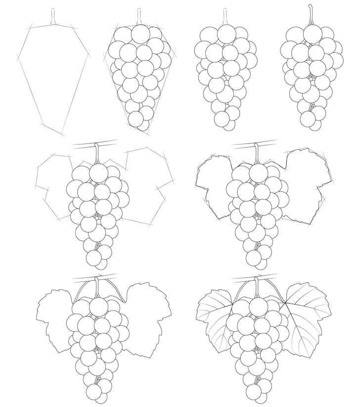 Idea viinirypäleterttuja (1) piirustus