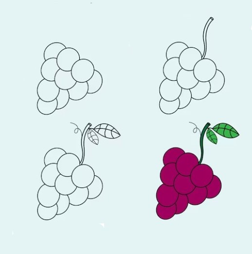 Idea viinirypäleterttuja (10) piirustus