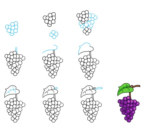 Idea viinirypäleterttuja (3) piirustus