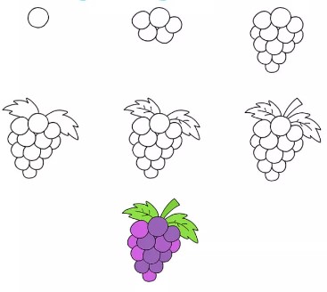 Idea viinirypäleterttuja (4) piirustus