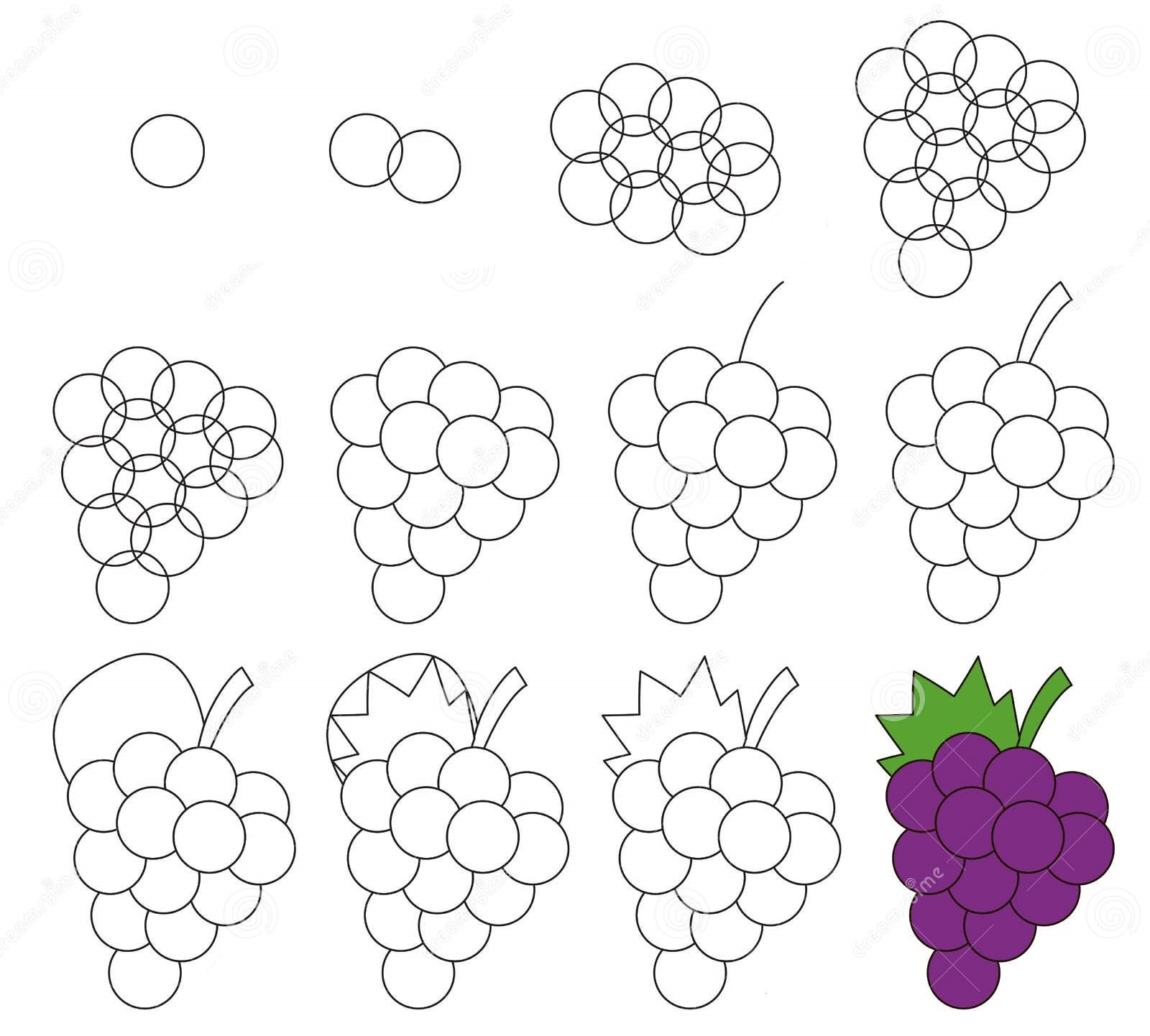 Idea viinirypäleterttuja (8) piirustus