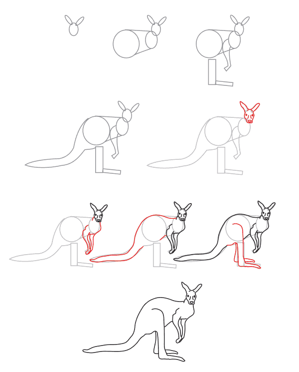 Kenguru lapsille (4) piirustus