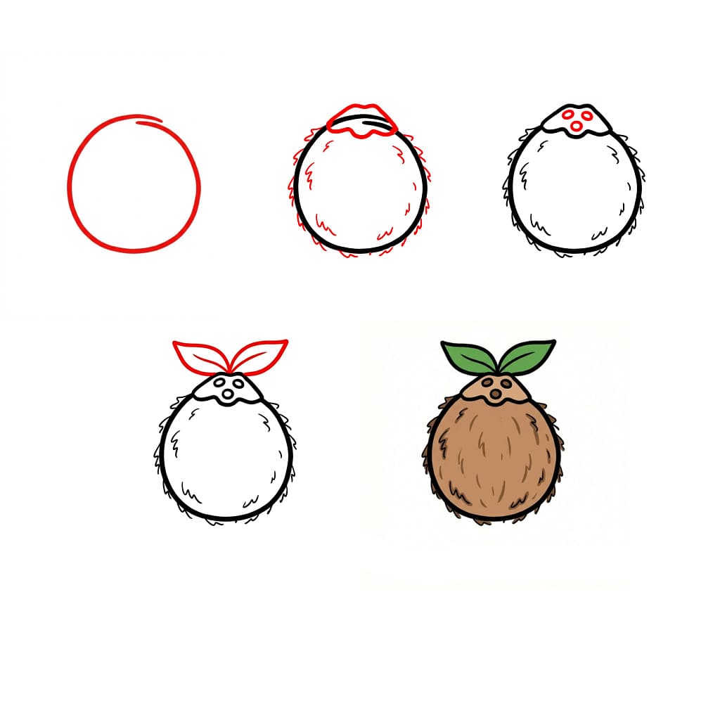 Kookospähkinä ja lehti piirustus