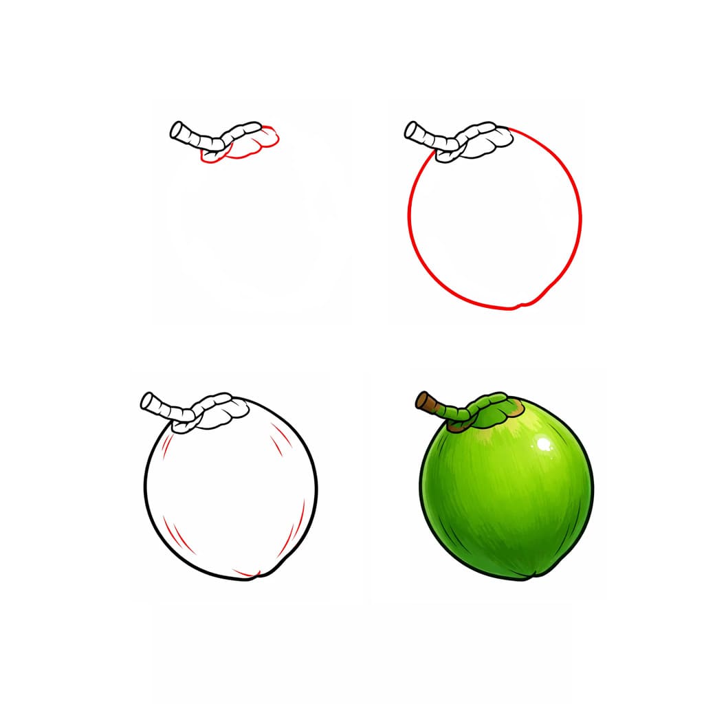 Kookospähkinä piirustus