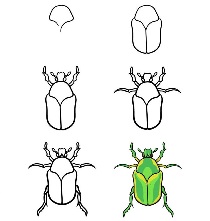 Kuoriainen idea (14) piirustus