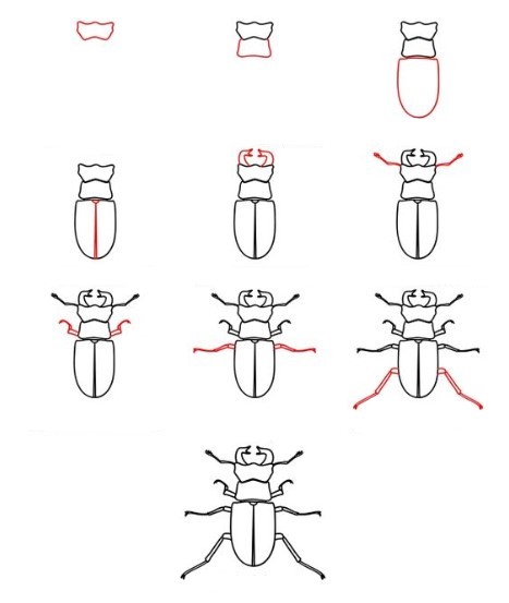 Kuoriainen idea (3) piirustus